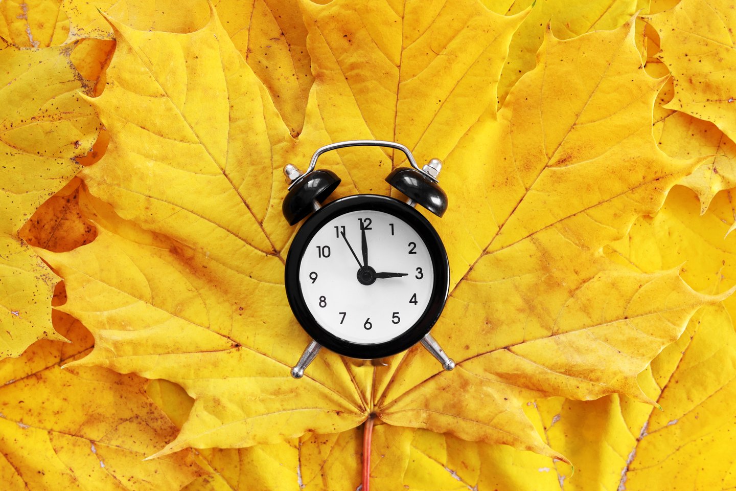 clock on autumn leaves
