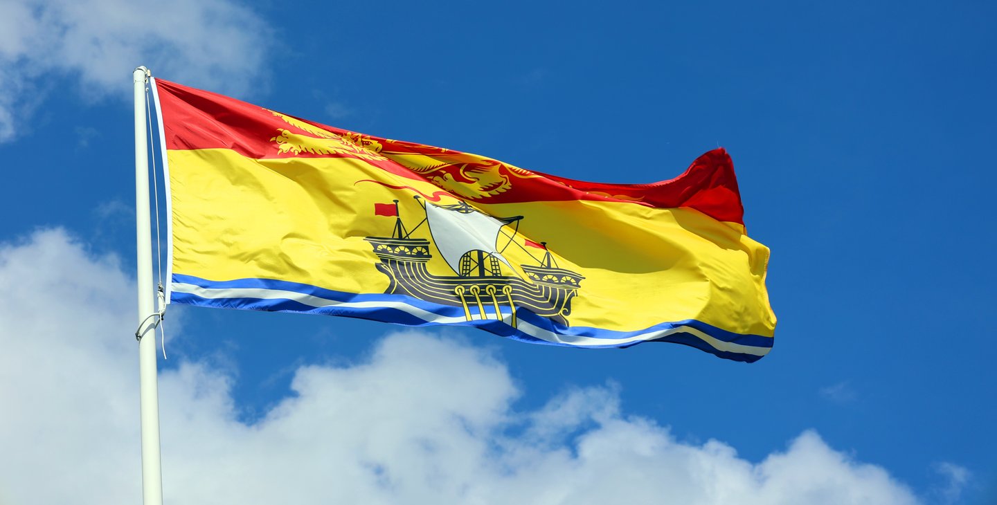 New Brunswick flag
