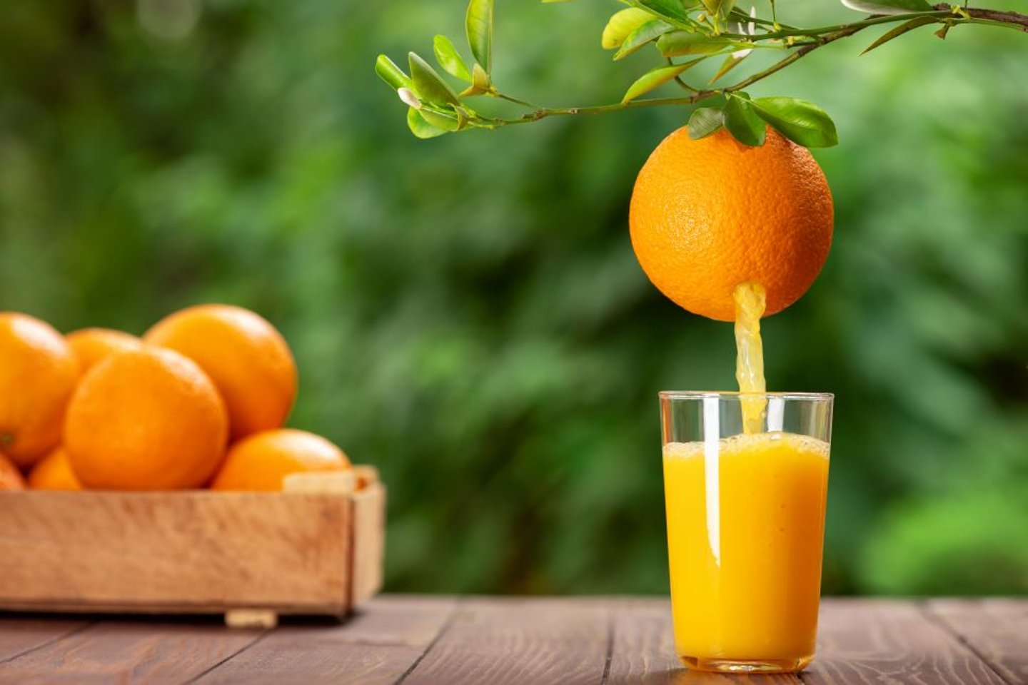 Orange Juice and Glass