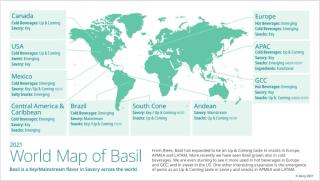 map of the world explaining how basil is influencing product development