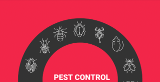 Pest control icons