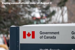 vaping consultations government