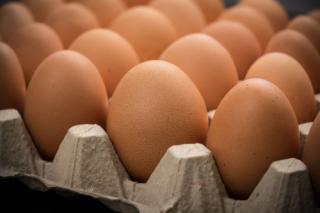 Brown cage-free chicken eggs in carton, close up