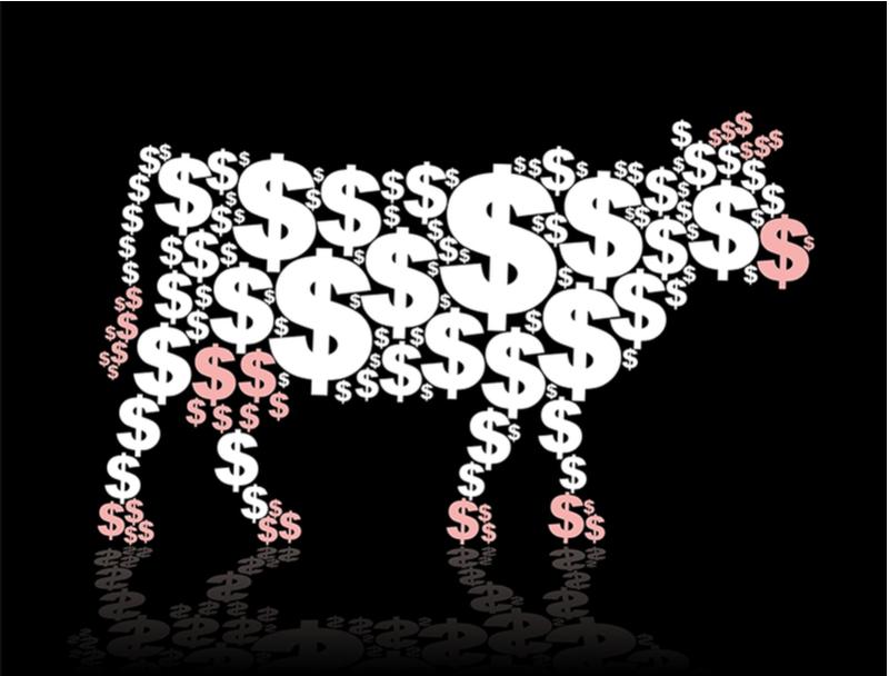 cow with dollar signs indicting dairy prices