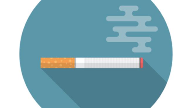 cigarette vector image