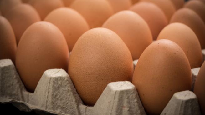 Brown cage-free chicken eggs in carton, close up