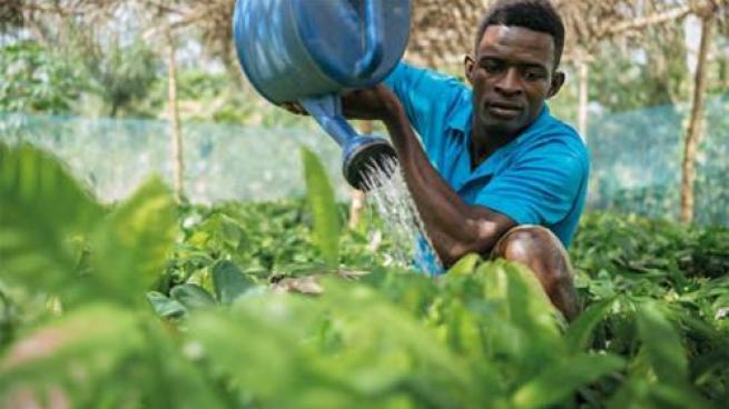 The Hershey Co. sustainability efforts 2021