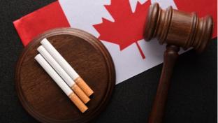 Flag of Canada, cigarettes and Judge gavel. Illegal sale of tobacco products. Tobacco law in Canada