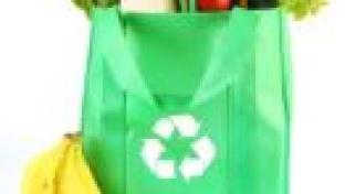 Small Reusable Grocery Bag Image